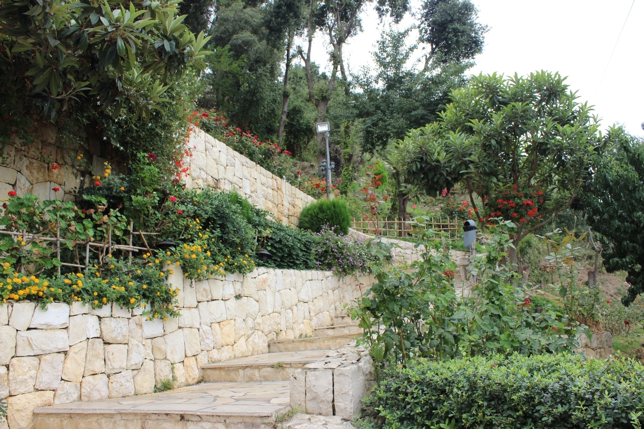Harissa Lebanon Gardens