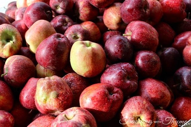 Lebanese Apples Red
