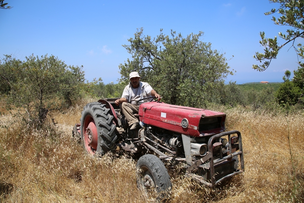 Promax Lebanon Hamat Lebanese Farmer