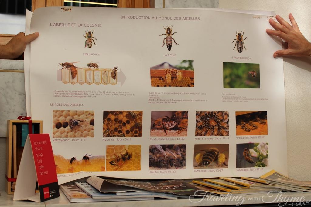 Atelier du Miel Beehive Beekeeping Workshop