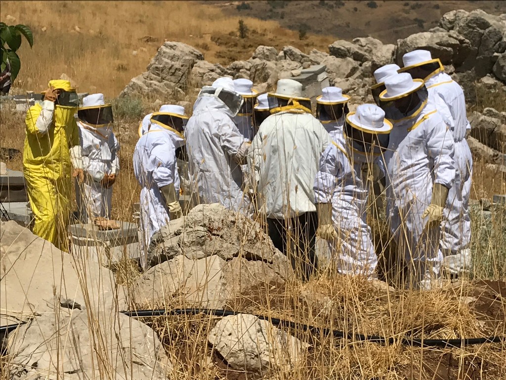 Atelier du Miel Beekeeping Workshop Tannourine