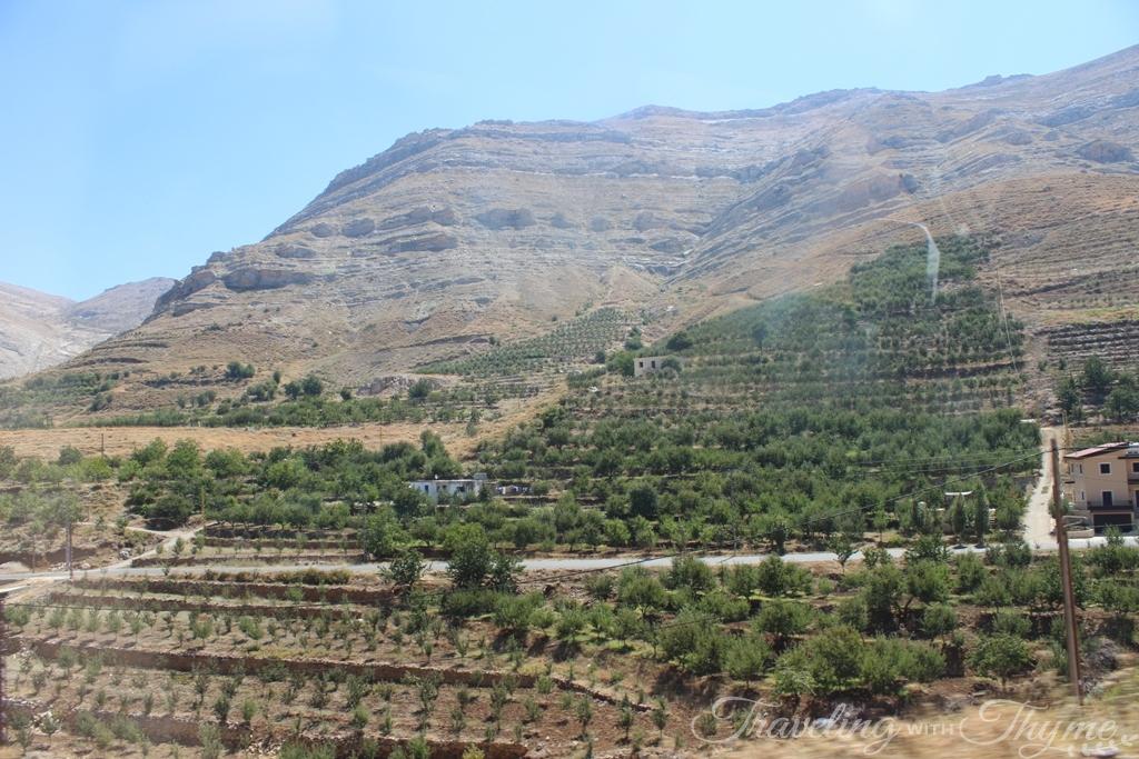 Tannourine Lebanon Scenery Landscape Mountains Nature