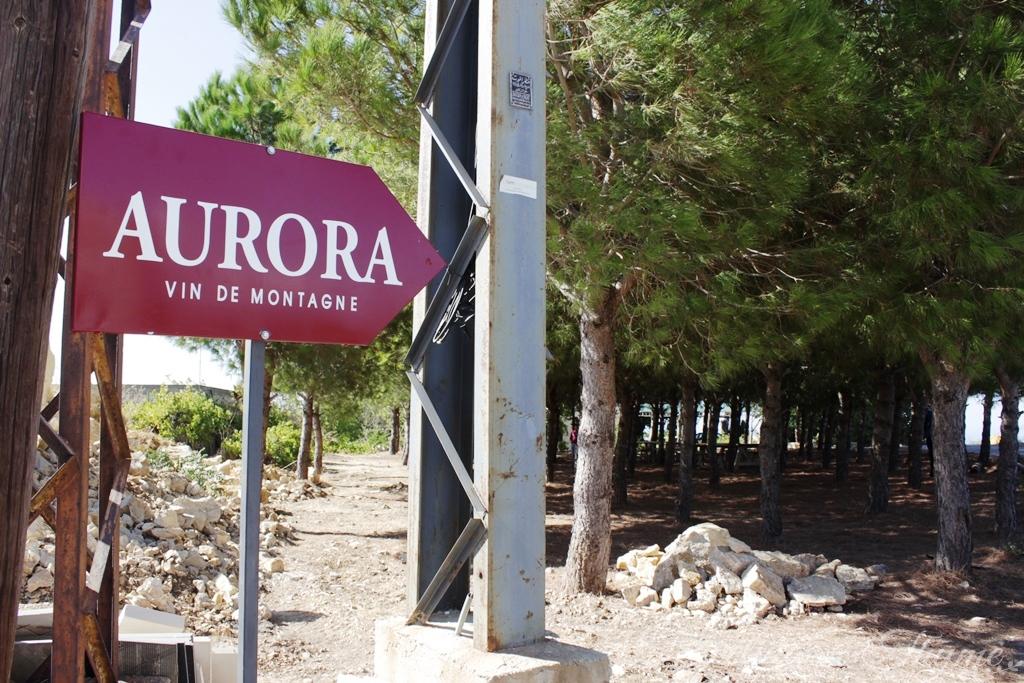 209 Lebanese Wine Batroun Tour Aurora