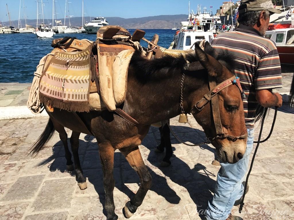 Hydra Greece Donkeys Island Cruise Tour