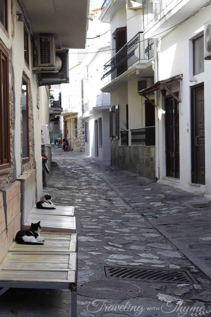 Skiathos Town Streets Island Cats Greece